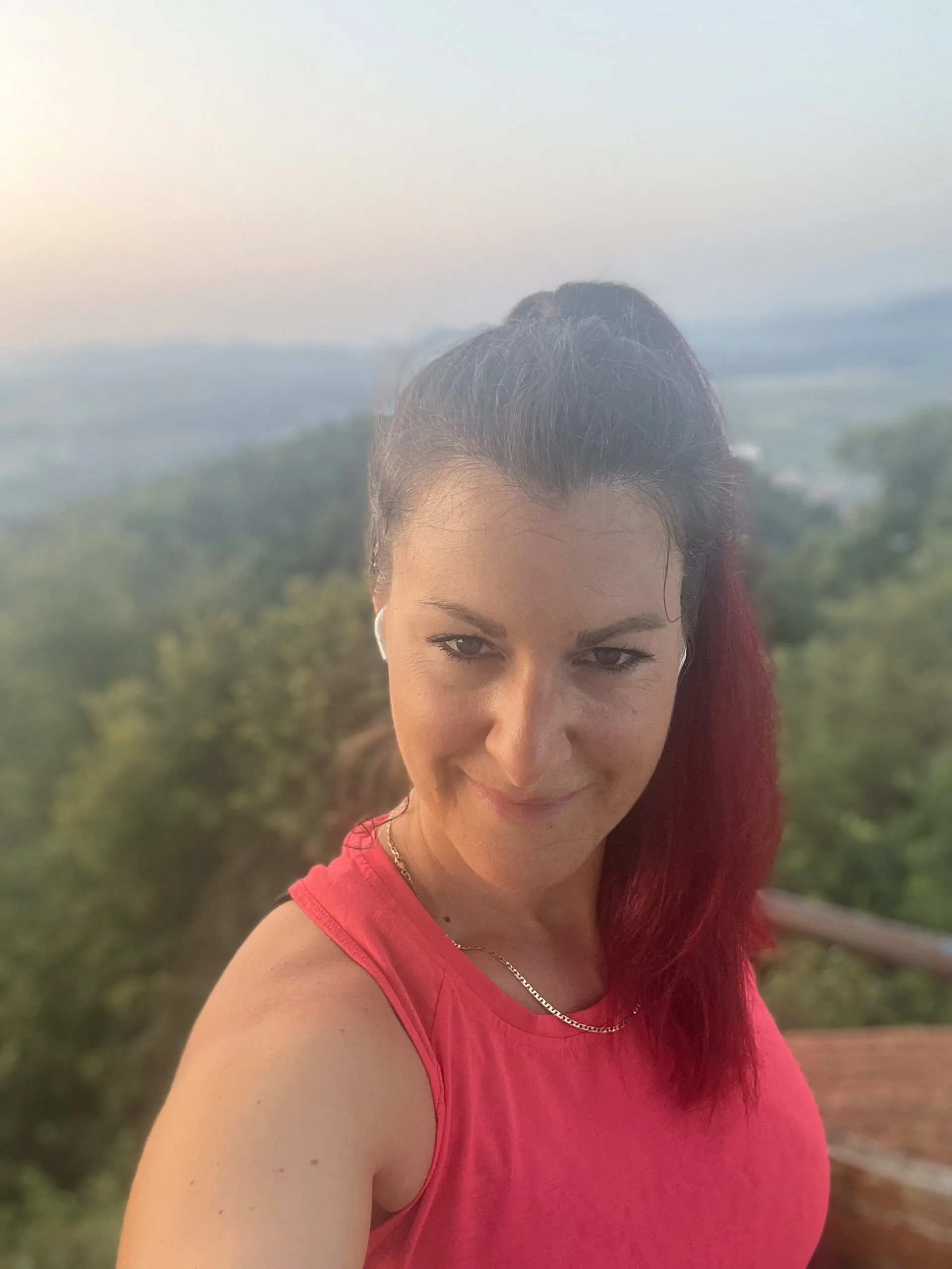 Image 50374401 1 Scaled